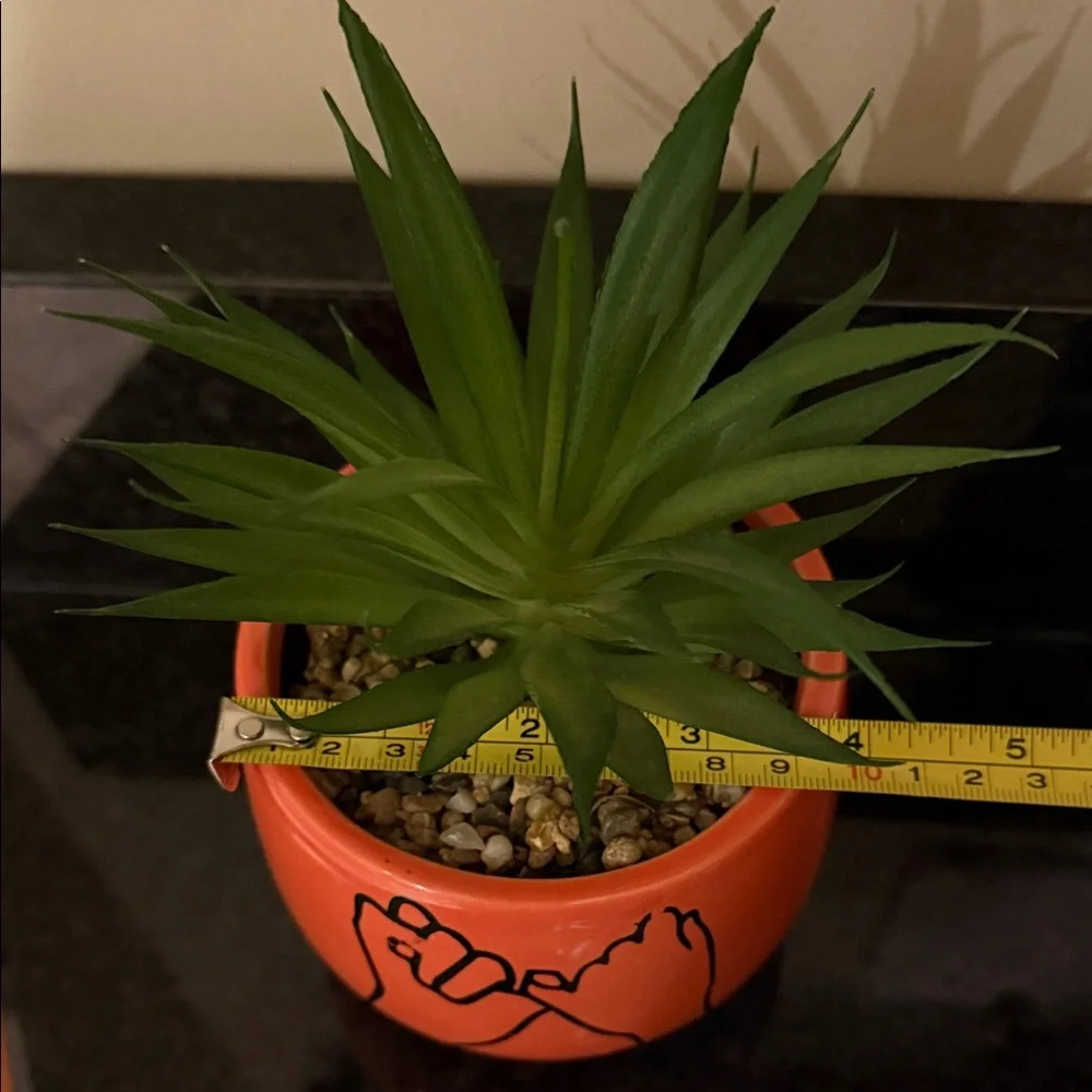 Two fake succulent plants in pots home or dorm decor